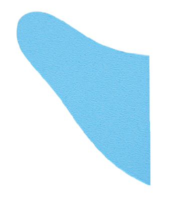 Alt Text